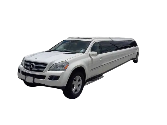 Mercedes GL 450 Limo Listing Pic