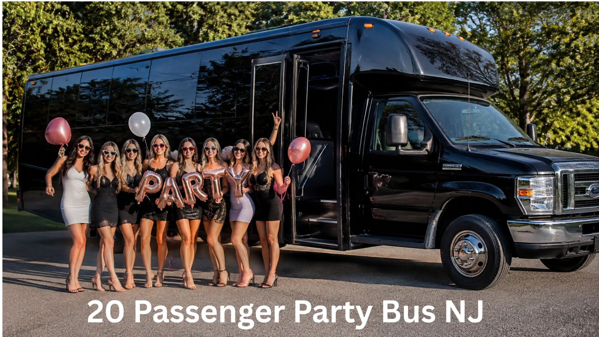 20 Passenger Party Bus NJ